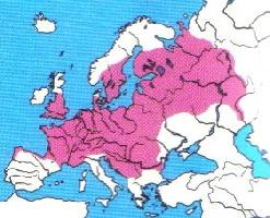 Foto: Głowacz białopłetwy - występowanie