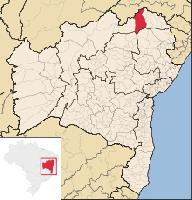 Foto: Ara modra - występowanie